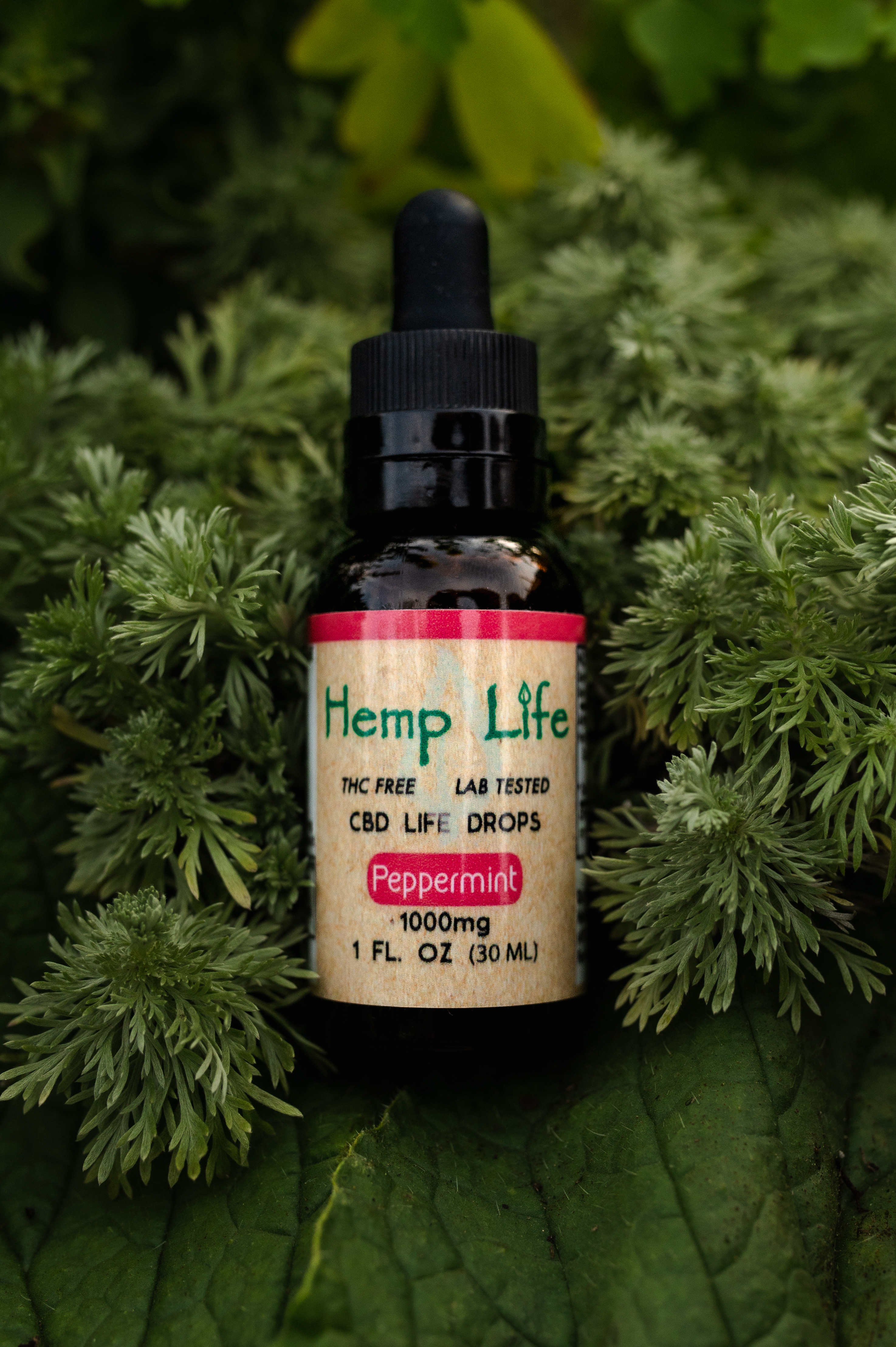 kap_9643_52145401995_o