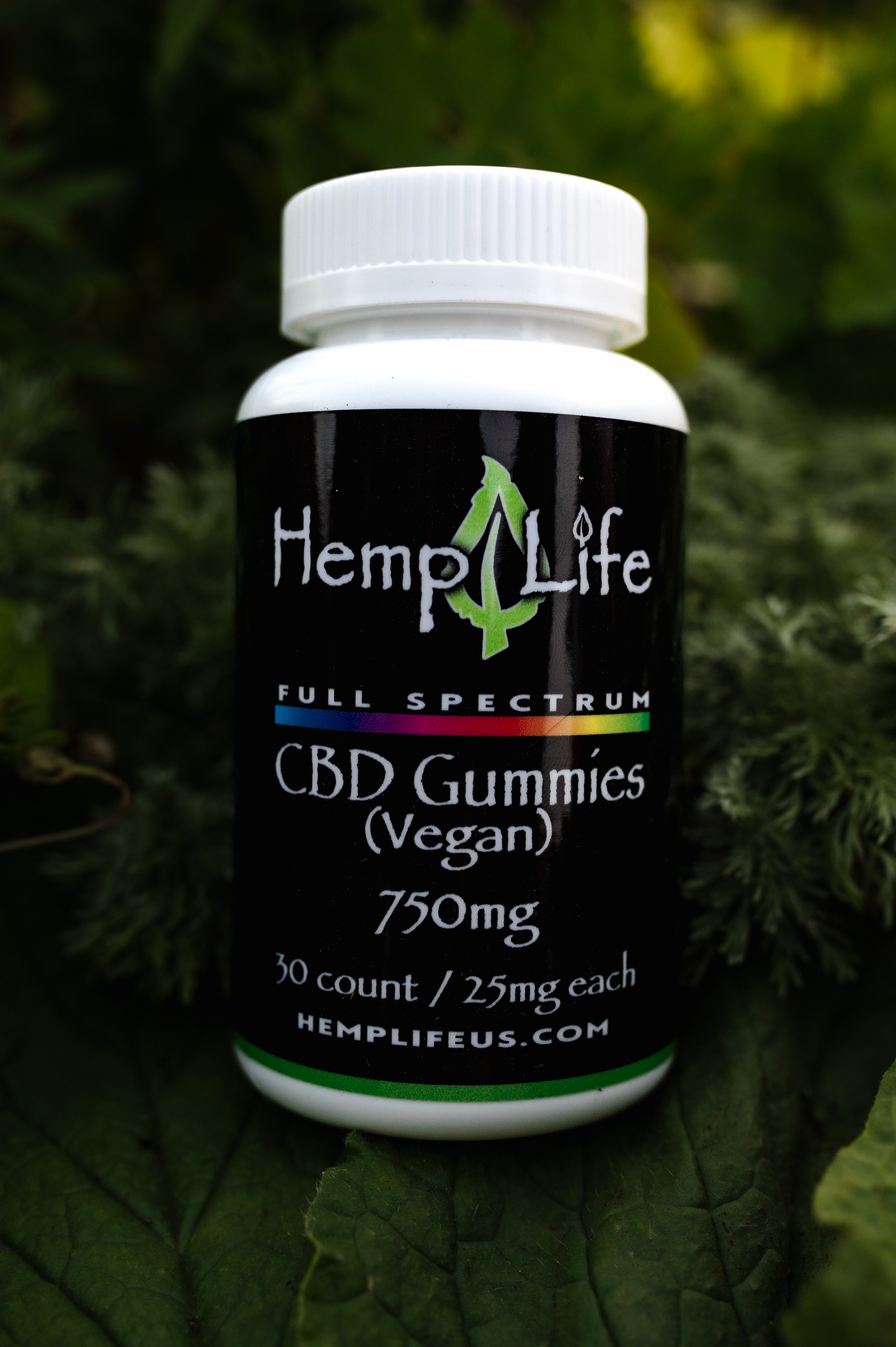 kap_9719_52144933648_o